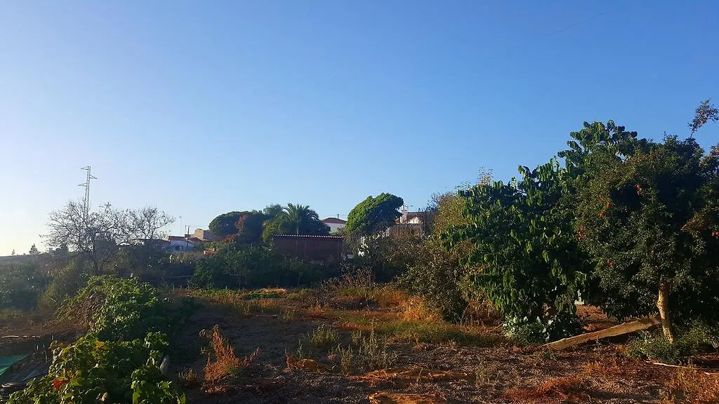 Semesterbostad Taucho Cottage Costa Adeje  Spanien